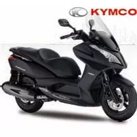 Poignée De Maintien Passager Arrière Pour KYMCO Dink 125 Street - Modèles 2009 à 2018 - Occasion En état De Marche
