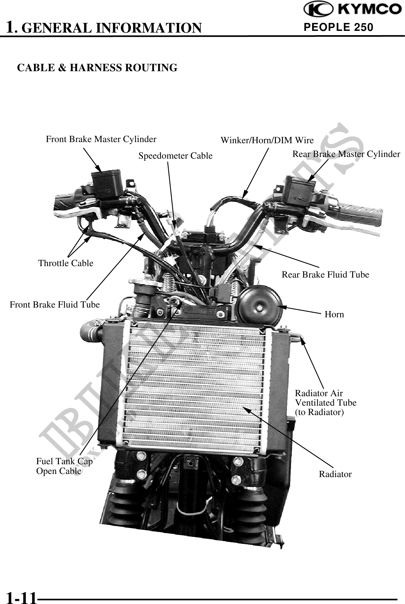 Microfiches
