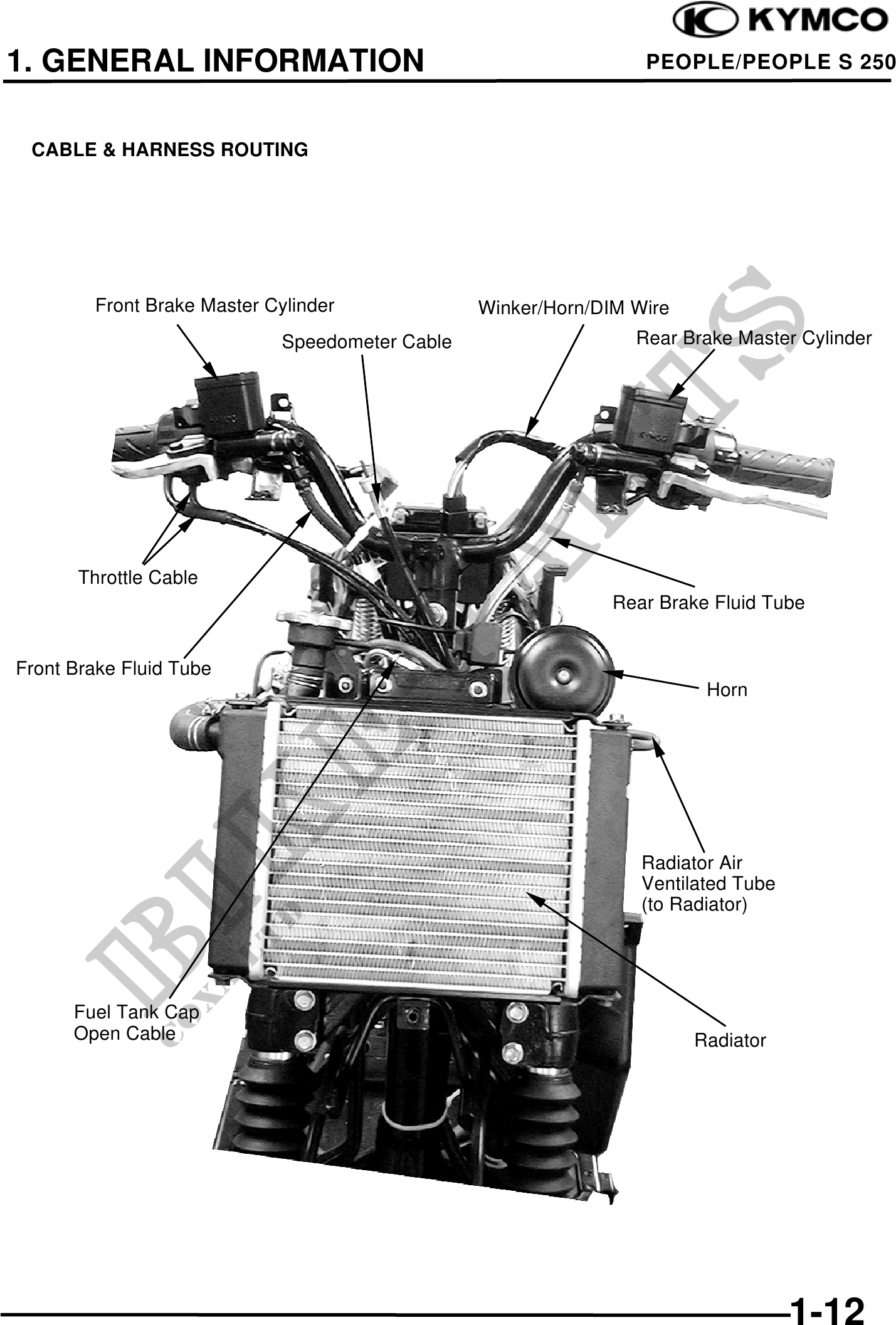 Microfiches